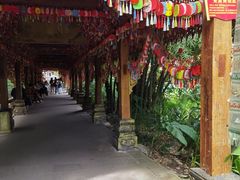 -西双版纳原始森林公园