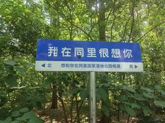 -同里国家湿地公园