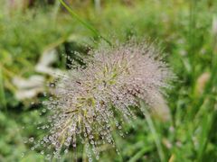 -荆州中山公园动物园