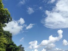 -深圳仙湖植物园