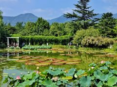 -国家植物园南园