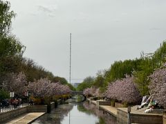 -元大都城垣遗址公园