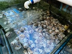 -蓝湾碧波·老字号·疍家非遗海上餐厅