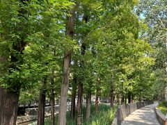 -白水寺森林公园