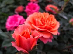 -闽江夜游台江旅游码头