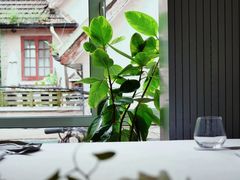 -蝶舍·MAISON PAPILLON