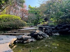 -深圳国际园林花卉博览园