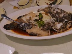 -一麦·龙岛(上海青浦店)