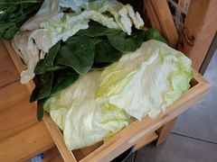 -巴奴毛肚火锅(丛台西路店)