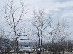 -宝荣鱼馆·临湖之宴(千岛湖店)