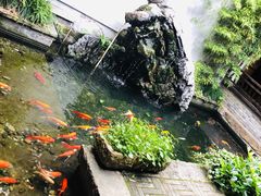 -真真老老(月河花鸟市场店)