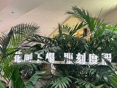 -HUATA 'Holiday Plan 花榻