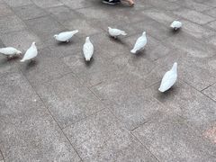 -人民广场