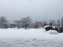 -洞爷湖万世阁酒店