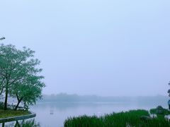 -洛阳市隋唐城遗址植物园
