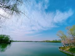 -大兴滨河森林公园