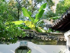 -秋霞圃