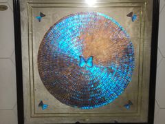 -上海昆虫博物馆