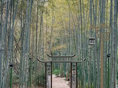 -杭州黄龙洞