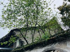 -绍兴鲁迅故里·沈园景区