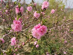 -北京西山国家森林公园