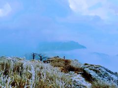 -秦岭风景区