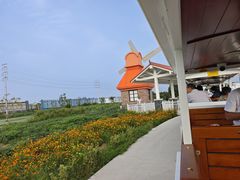 -杭州湾海上花田景区