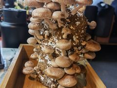 -大头椰·椰子鸡火锅(南宁万象城店)