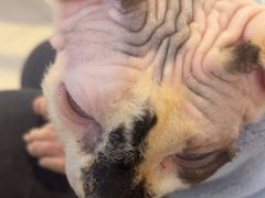 -平行世界·猫咖(首经贸店)