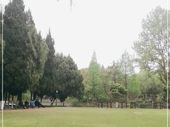 -瀛洲公园
