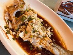 -舟山希尔顿酒店