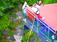 -梦幻奥陶纪景区