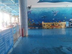 -黄金海岸水上乐园