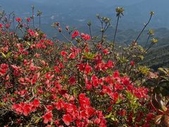-广东天露山旅游度假区