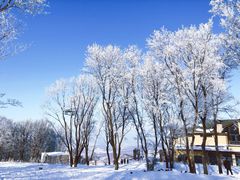 -中旅松花湖滑雪场