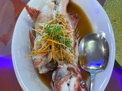 清蒸东星斑-大茄来海鲜餐厅(亚洲城分行)