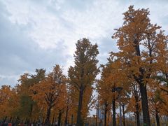 -百林公园-两江幸福广场