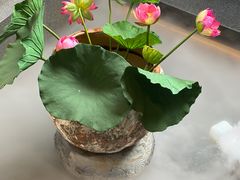 -单家老院·院子里的青岛菜(沙子口店)
