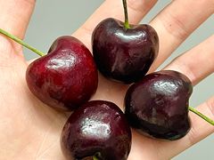 -水果天空(东葛店)