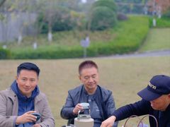 -铁山坪森林公园