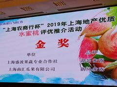 -西郊国际农产品交易中心