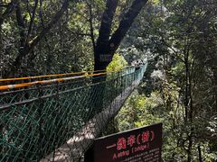 -云南屏边大围山国家公园
