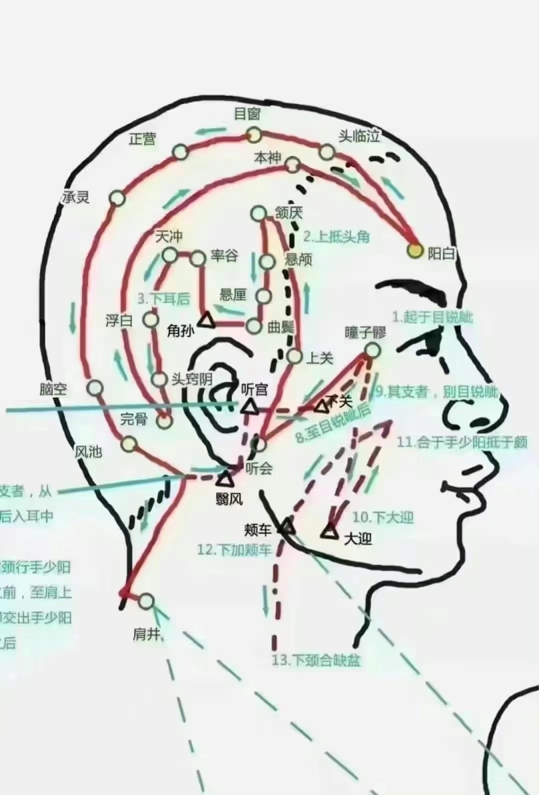 头部经络图 膀胱图片