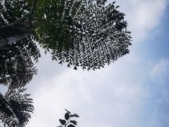 -川南大草原
