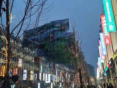 -北京望京葉子里酒店(望京SOHO店)