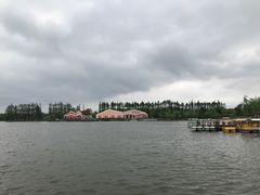 -上海长兴岛郊野公园