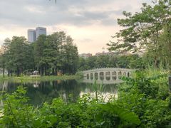 -四海公园(南山区)