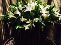 璞丽酒店-上海璞麗酒店