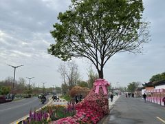 -苏州上方山国家森林公园