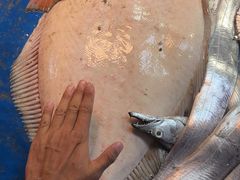 -桃源市场(解放路店)